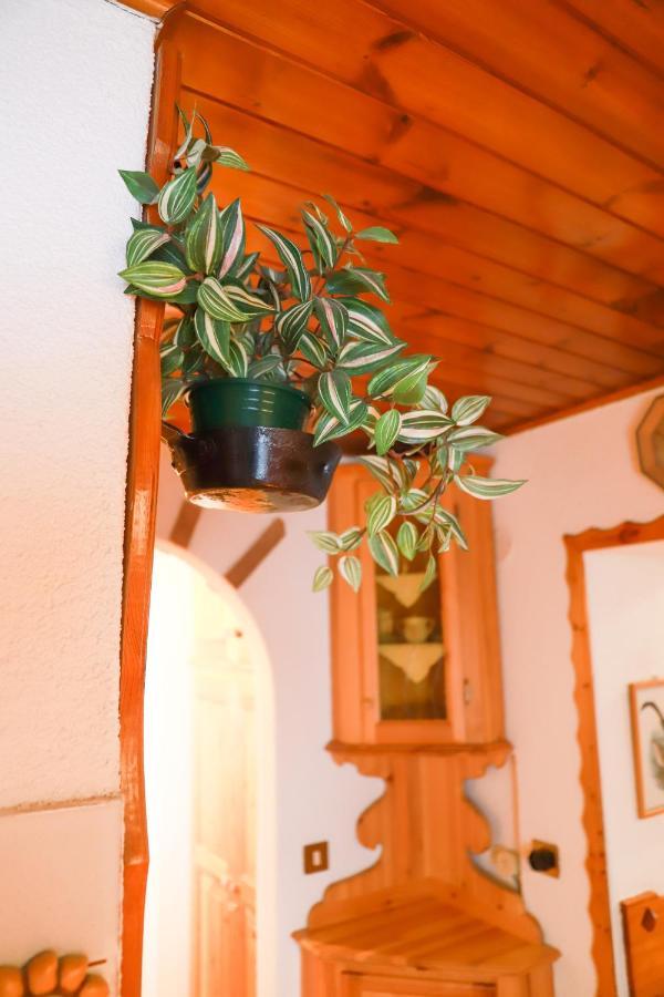 Tre Cime Focobon - Bellavista Sulle Dolomiti Apartment ฟัลกาเด ภายนอก รูปภาพ